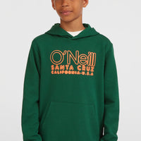 Sweat à capuche Essentials | Emerald Envy