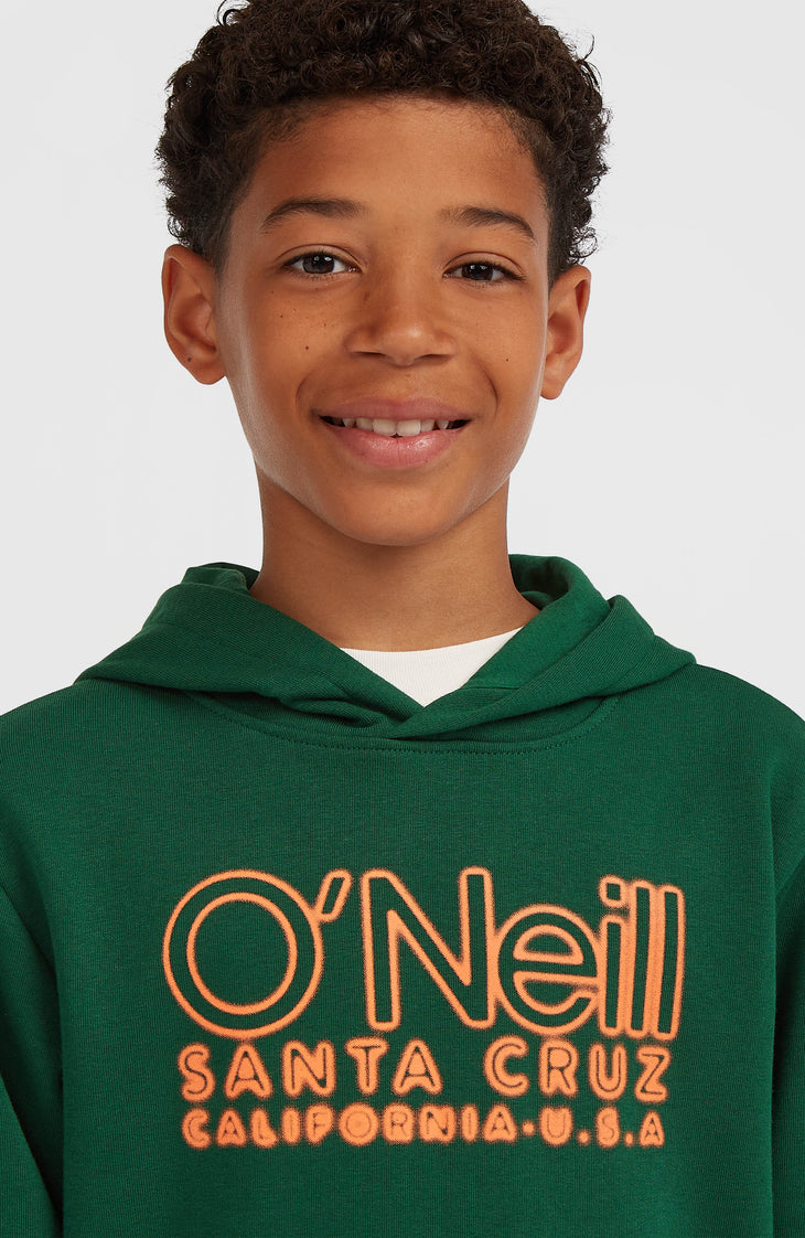 Sweat à capuche Essentials | Emerald Envy