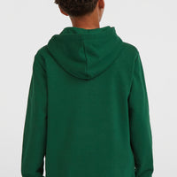 Sweat à capuche Essentials | Emerald Envy