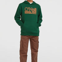 Sweat à capuche Essentials | Emerald Envy