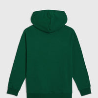 Sweat à capuche Essentials | Emerald Envy