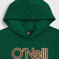 Sweat à capuche Essentials | Emerald Envy