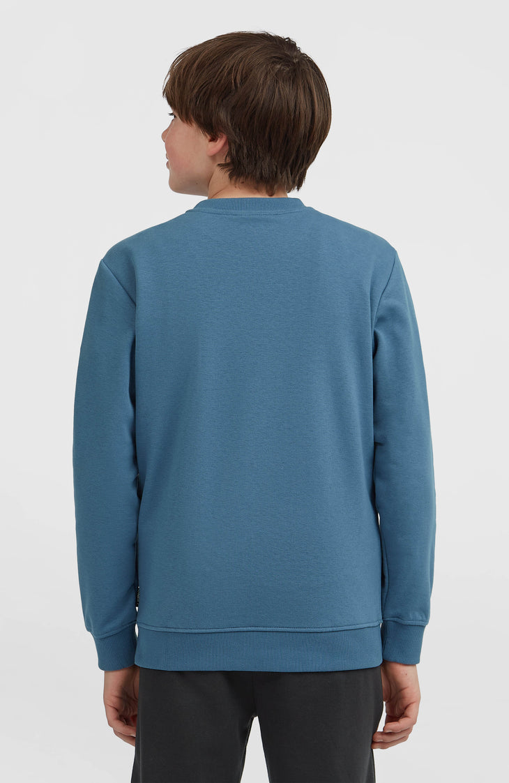 Sweatshirt à col rond Essentials | Mozart Blue