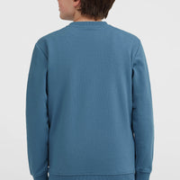 Sweatshirt à col rond Essentials | Mozart Blue