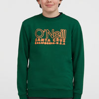 Sweatshirt à col rond Essentials | Emerald Envy
