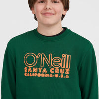 Sweatshirt à col rond Essentials | Emerald Envy