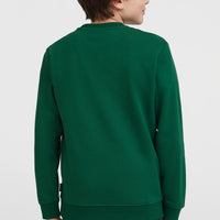 Sweatshirt à col rond Essentials | Emerald Envy