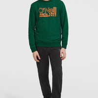 Sweatshirt à col rond Essentials | Emerald Envy