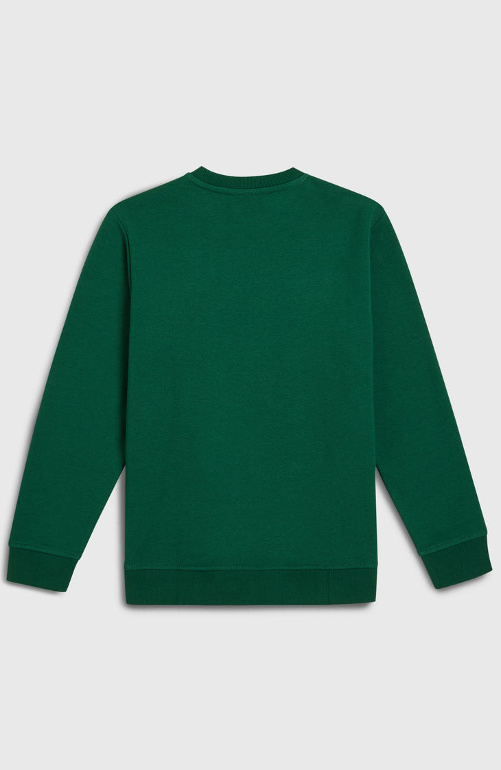 Sweatshirt à col rond Essentials | Emerald Envy