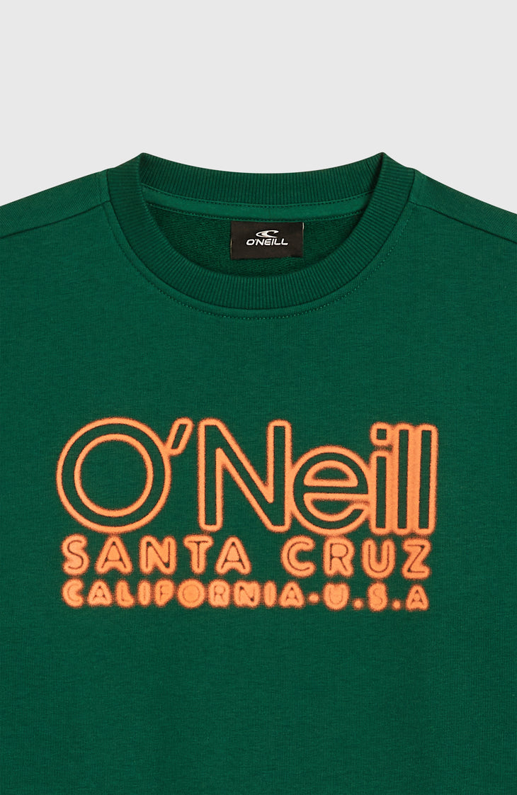 Sweatshirt à col rond Essentials | Emerald Envy