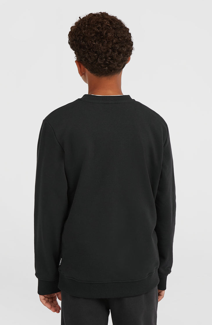 Sweatshirt à col rond Essentials | Black Out