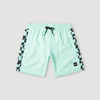 Short de bain Cali Panel 14'' | Beach Glass Colour Block