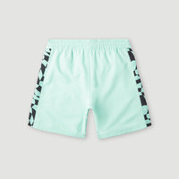 Short de bain Cali Panel 14'' | Beach Glass Colour Block