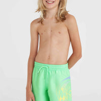 Short de bain Circle Surfer 14\ | Neon Green Circle Surfer Gradient Panel