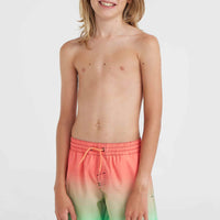 Short de bain Jack O'Neill Cali Gradient 14 | Living Coral Simple Gradient Panel