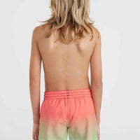 Short de bain Jack O'Neill Cali Gradient 14 | Living Coral Simple Gradient Panel