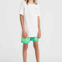 Short de bain Jack O'Neill Cali Gradient 14 | Living Coral Simple Gradient Panel