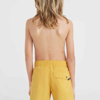 Short de bain Vert 14\ | Golden Haze