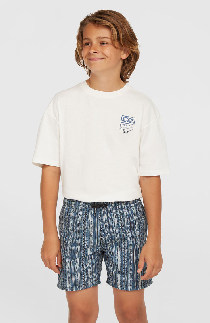 Short de bain Cali 14'' | Blue Pressed Lines