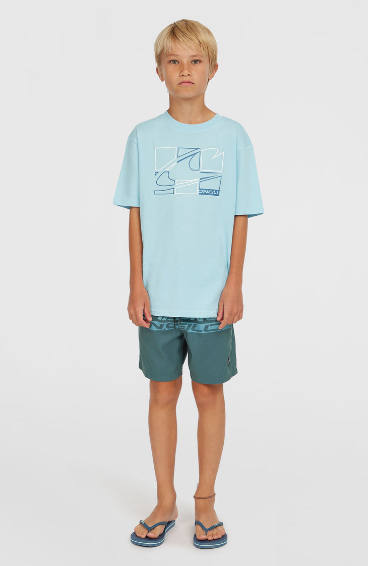 Short de bain Cali Stripe 14 | Blue Upside Down