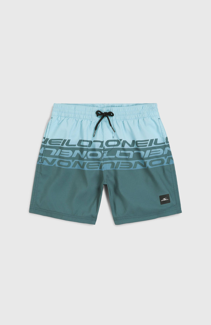 Short de bain Cali Stripe 14 | Blue Upside Down