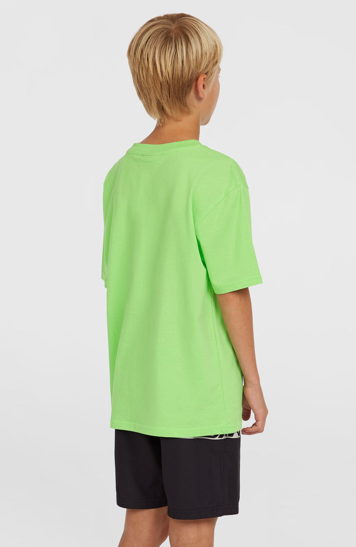 Short de bain Cali Stripe 14 | Green Upside Down