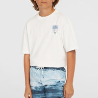 Short de bain Cali Gradient 14'' | Blue Melted Stripe Boys