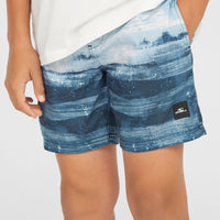 Short de bain Cali Gradient 14'' | Blue Melted Stripe Boys