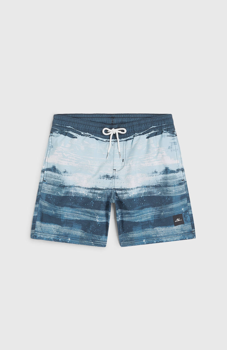 Short de bain Cali Gradient 14'' | Blue Melted Stripe Boys