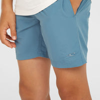 Short de bain Vert 14'' | Copen Blue