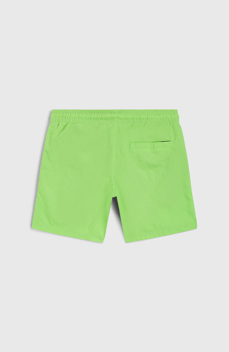 Short de bain Vert 14'' | Paradise Valley
