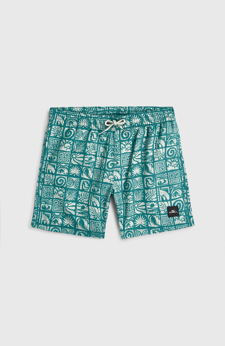 Short de bain O'Neill Print | Blue Bricks