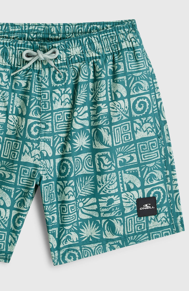 Short de bain O'Neill Print | Blue Bricks