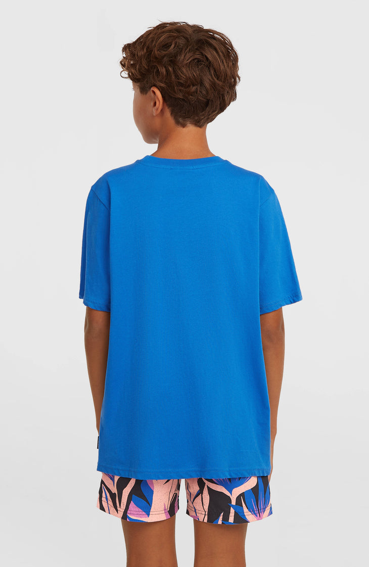 Short de bain O'Neill Print | Black Tropicana Big