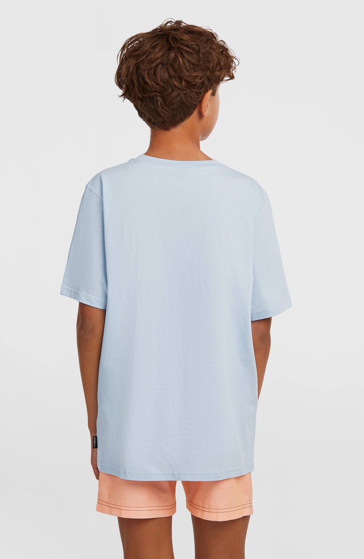 Short de bain O'Neill Logo Stripe | Boys Purple Heritage O'Neill