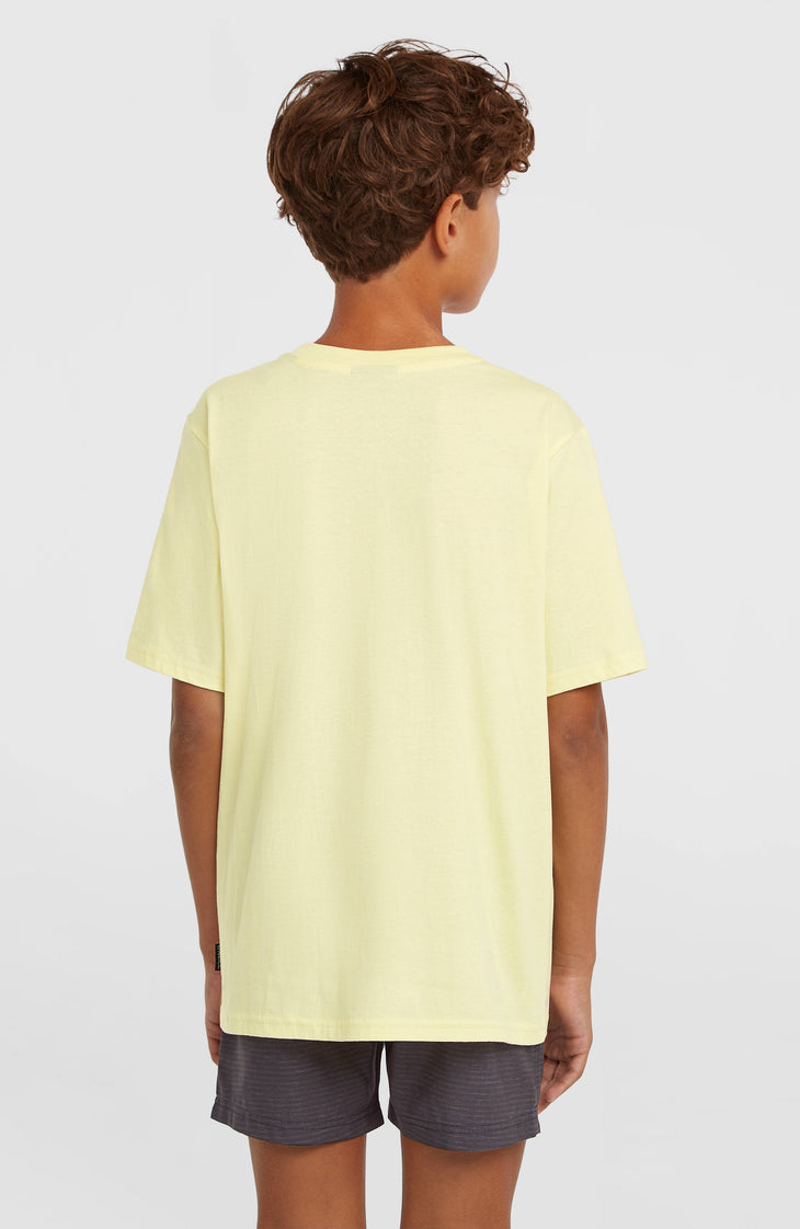 Short de bain O'Neill Logo Stripe | Boys Blue Heritage O'Neill