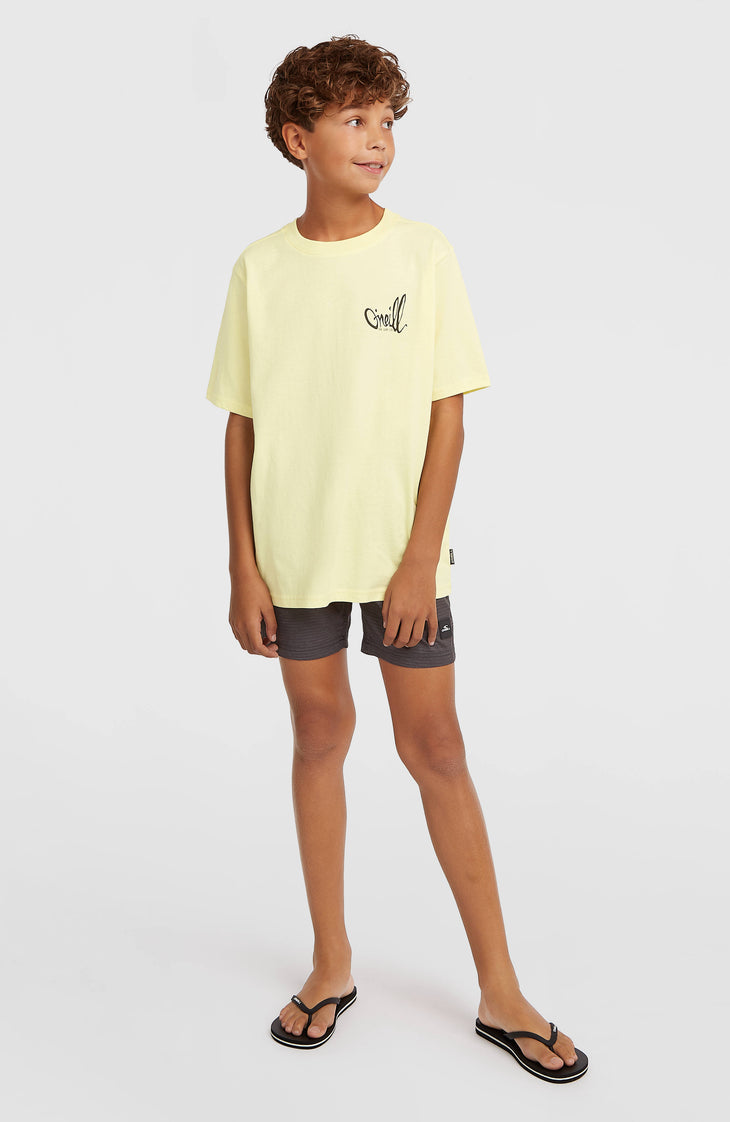 Short de bain O'Neill Logo Stripe | Boys Blue Heritage O'Neill