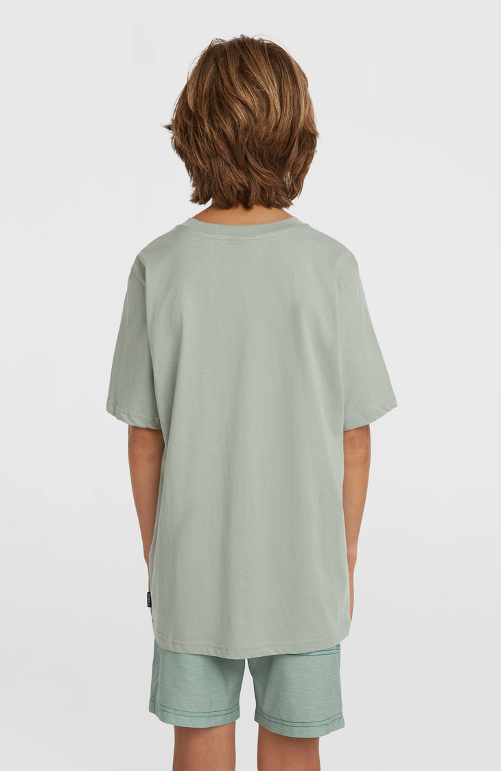 Short de bain O'Neill Logo Stripe | Boys Green Heritage O'Neill