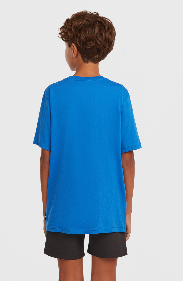 Short de bain O'Neill Cali | Black Out