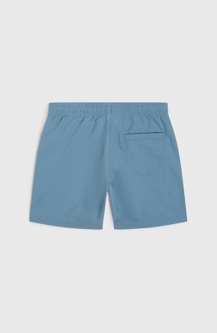 Short de bain O'Neill Vert | Copen Blue