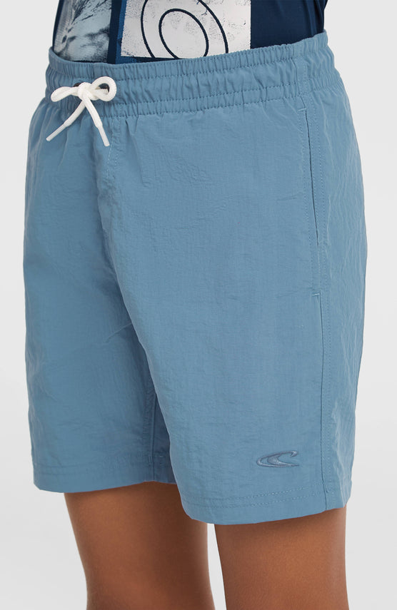 Short de bain O'Neill Vert | Copen Blue