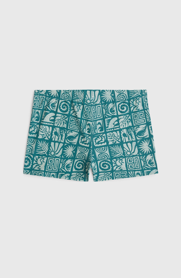 O'Neill Print Boxer | Blue Bricks