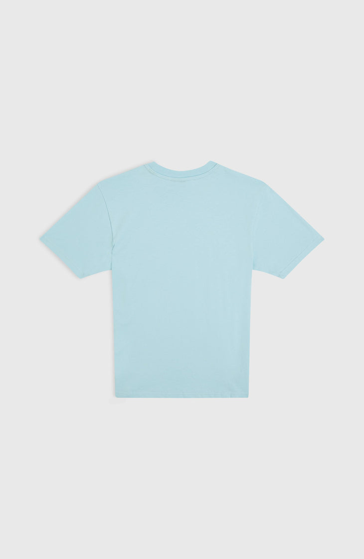 T-shirt Small Graphic | Morning Glory