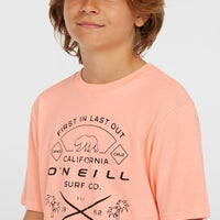 T-shirt Jack O'Neill Muir | Coral Pop