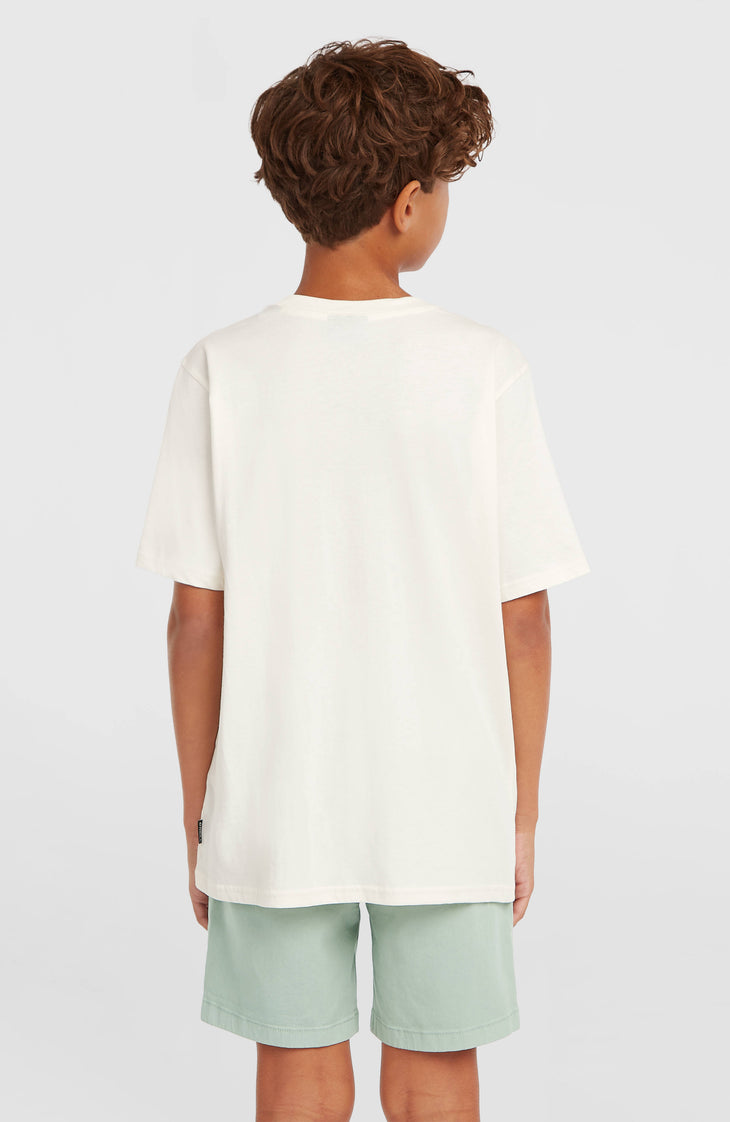 T-shirt O'Neill Logo Stripe | Snow White
