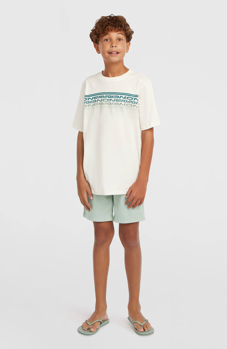 T-shirt O'Neill Logo Stripe | Snow White