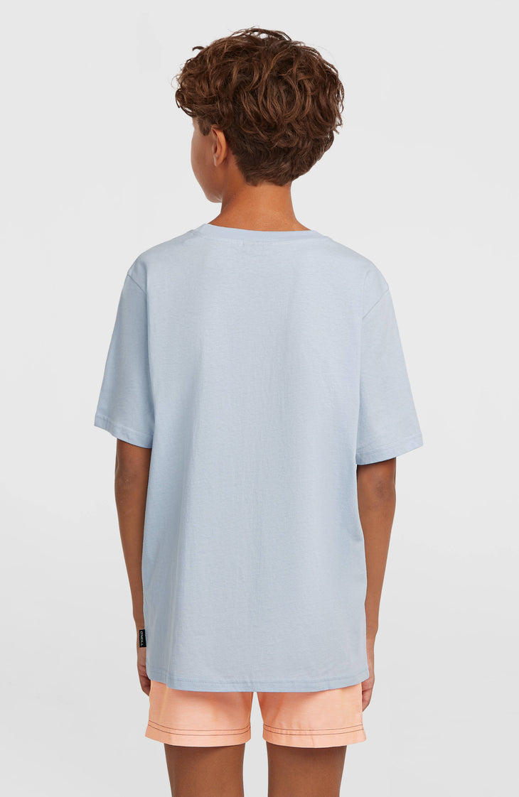 T-shirt O'Neill Logo Stripe | Spindle
