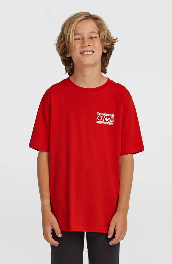 T-shirt O'Neill Cali | High Risk Red