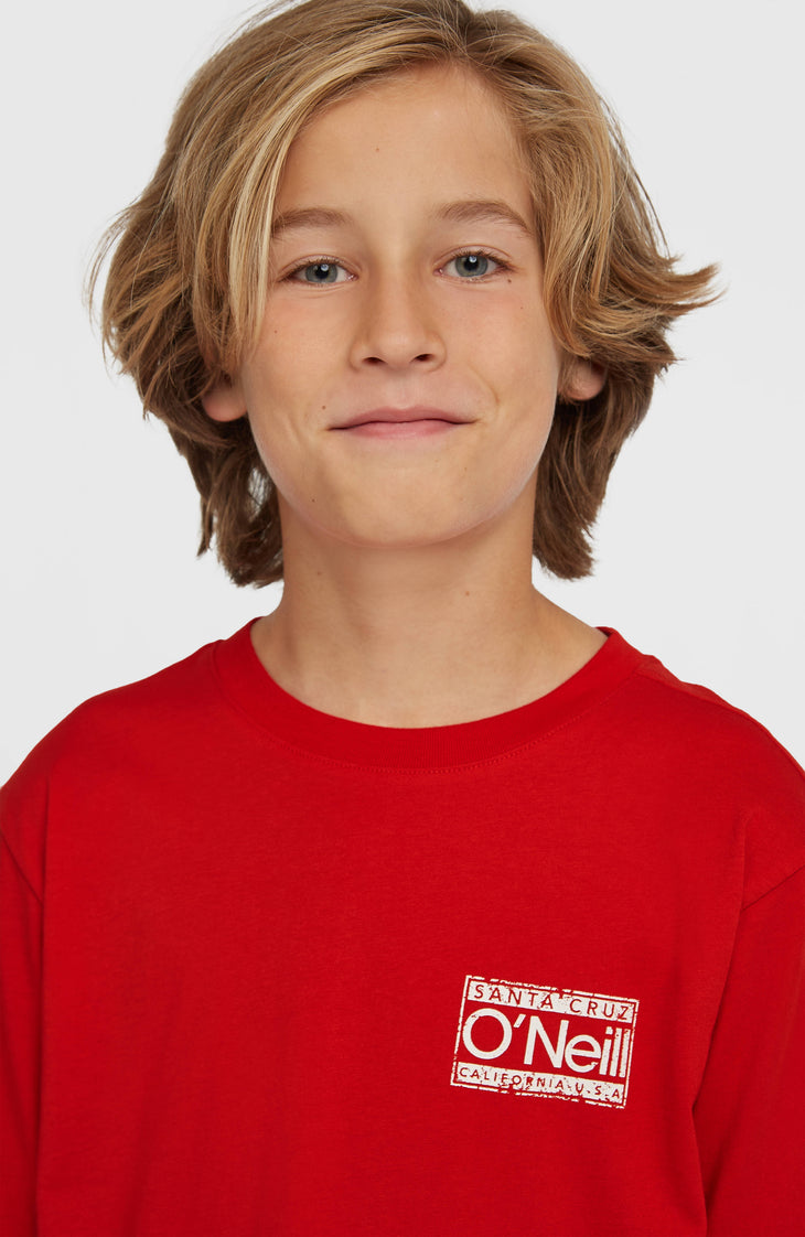 T-shirt O'Neill Cali | High Risk Red