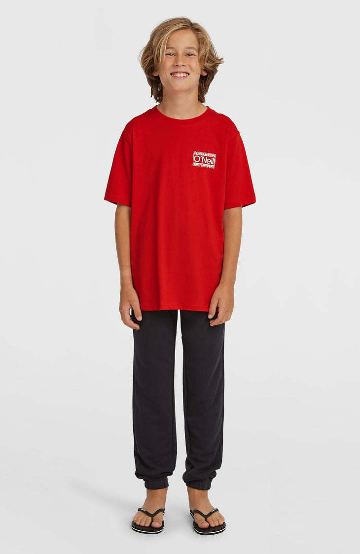 T-shirt O'Neill Cali | High Risk Red